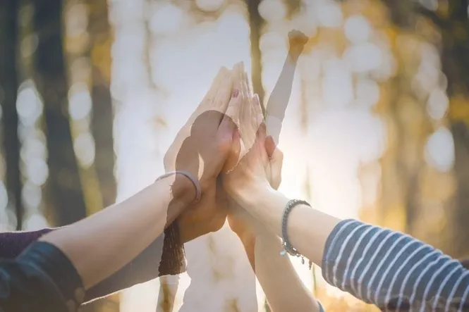 Narcissists Who Prey on the Community